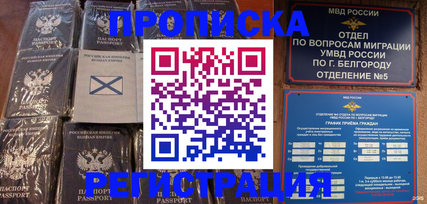 прописка гарантия в Шебекино